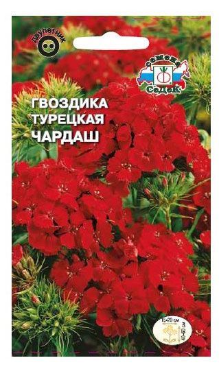 Семена СеДеК Гвоздика Чардаш турецкая лев яковлевич лурье поздние ленинградцы от застоя до перестройки