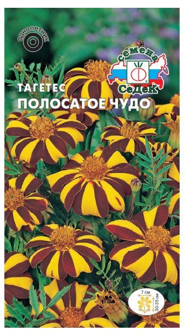 Семена СеДеК Тагетес Полосатое чудо отклоненный золотисто-коричневый наталья дроздова простые истины