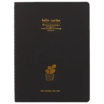 Тетрадь Black Cactus, B5, 28 листов, в ассортименте