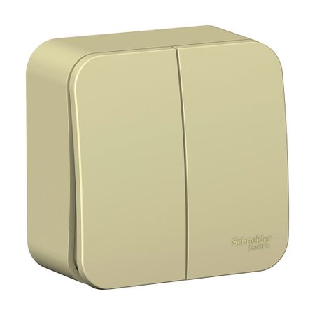 Выключатель Systeme Electric Blanca двухклавишный накладной бежевый (BLNVA105017)