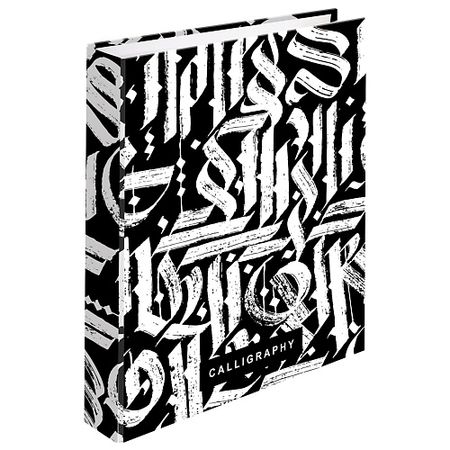 Тетрадь BRAUBERG Тетрадь на кольцах тетрадь brauberg тетрадь на кольцах 120 листов гранат