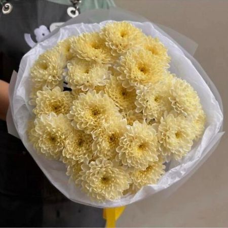 Букет живых цветов МНОГО ЦВЕТОВ ЦВЕТОЧНЫЙ МАГАЗИН Монобукет из 5 желтых кустовых хризантем nitecore tini3 много ный фонарик 600 люмен