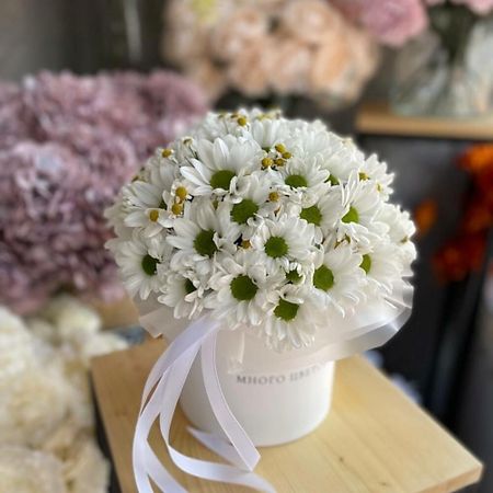 Букет живых цветов МНОГО ЦВЕТОВ ЦВЕТОЧНЫЙ МАГАЗИН Коробочка из кустовых хризантем и танацетума бархатная коробочка для украшений qiao форма ракушки