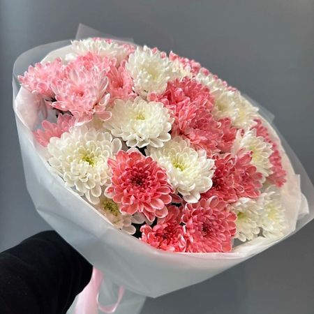 Букет живых цветов МНОГО ЦВЕТОВ ЦВЕТОЧНЫЙ МАГАЗИН Монобукет из 11 кустовых хризантем nitecore tini3 много ный фонарик 600 люмен