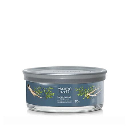 Свеча ароматическая YANKEE CANDLE Ароматическая свеча Bayside Cedar свеча ароматическая yankee candle ароматическая свеча angel wings