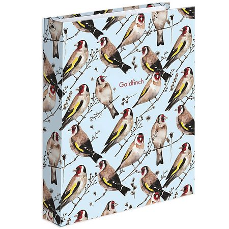 Тетрадь BRAUBERG Тетрадь на кольцах 120 листов Щеглистовы тетрадь brauberg тетрадь на кольцах 120 листов гранат