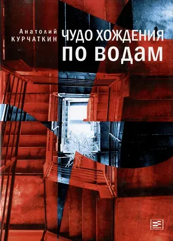 Анатолий Николаевич Курчаткин Чудо хождения по водам: Роман