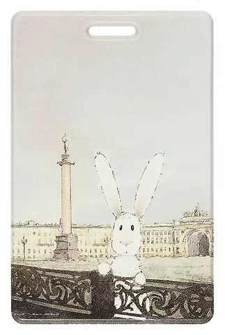 Чехол для карточек вертикальный СПб Августин (Дворцовая площадь) (ДК2024-467)