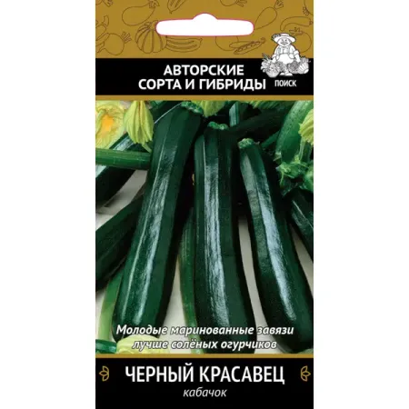 Семена Кабачок «Чёрный красавец»