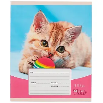 Тетрадь в клетку Listoff, 