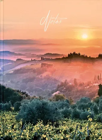 Книга для записей А4 160л кл. 