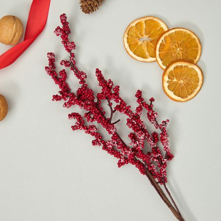 Ветвь Веточка/Rametto III