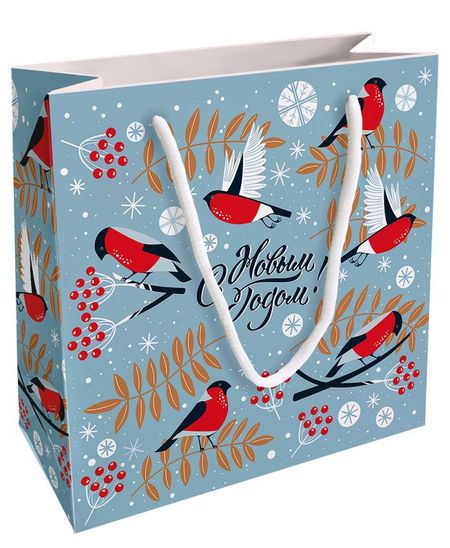 Пакет подарочный Be Smart бумажный N5, 20х20 см 1 шт в ассортименте