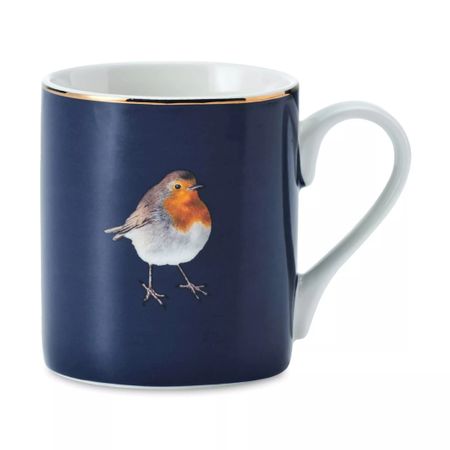 Кружка фарфоровая Kitchen Craft Robin Mikasa BLUE 280 мл