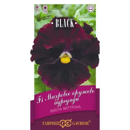 Семена цветов Гавриш Блэк виола Махровое кружево бургунди 4 шт.