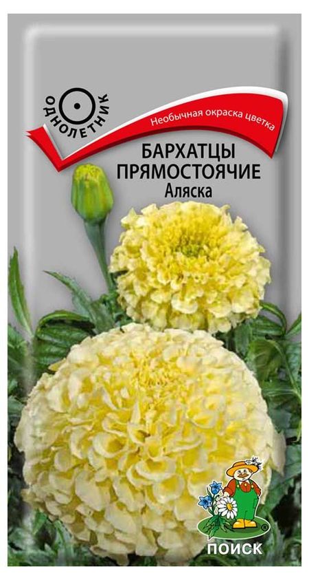 Семена Бархатцы прямостоячие Поиск Аляска, 0,4 г