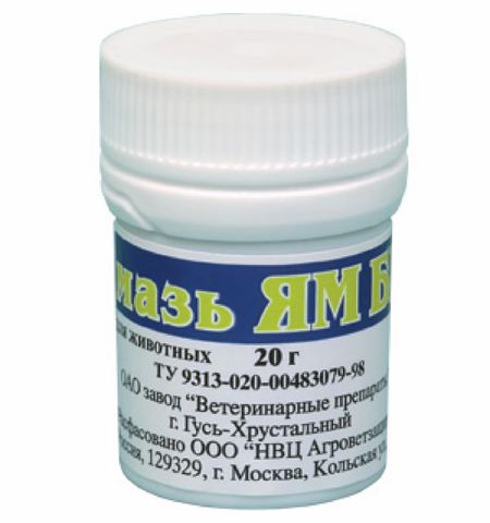 Лекарственные препараты Агроветзащита Мазь Ям БК бактерицидно-фунгицидная (20 г)