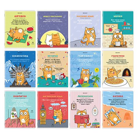 Тетрадь BRAUBERG Тетради предметные КОМПЛЕКТ 12шт  КОТ афлубин таблетки подъязычные гомеопатические 12шт