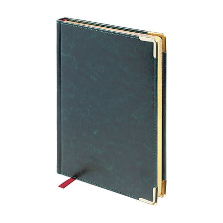 Ежедневник BRUNO VISCONTI Ежедневник недатированный 