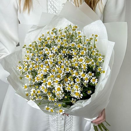 Букет живых цветов ART FLORA Нежный букет ромашек