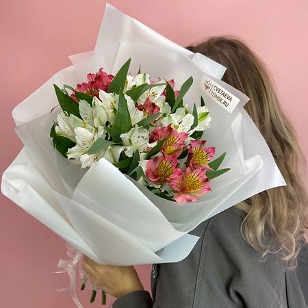 Букет живых цветов CVETAEVA TOMSK.RU Букет из 7 альстромерий