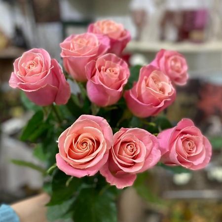 Букет живых цветов ЦВЕТЫ ДЛЯ ВАС Букет из 9 нежно персиковых роз (Эквадор) 60 см миски moderna миска sensibowls нежно лиловый бельгия 700 мл