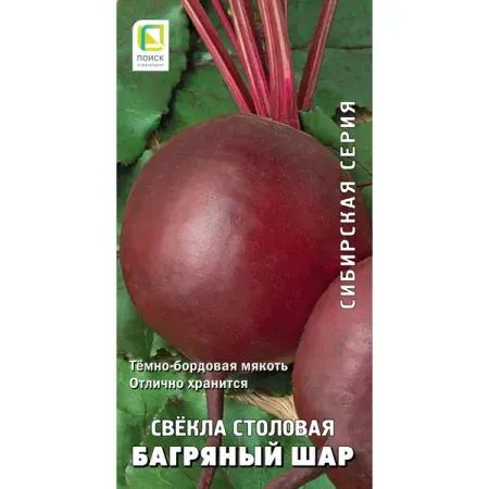 Семена овощей Поиск свекла столовая Багряный шар
