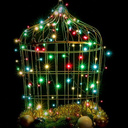 Электрогирлянда новогодняя для помещений Reason 320 LED 2557 см со стартовым шнуром