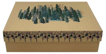 Коробка подарочная, 24,5х17,5х7 см