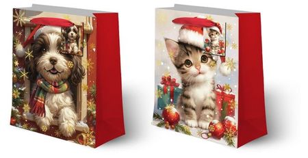 Пакет подарочный Домашние любимцы 17,523,58 см, 1 шт в ассортименте