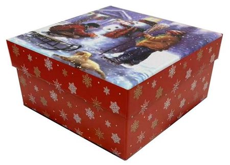 Коробка подарочная Дружба, 20209,5 см