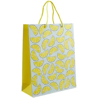 Пакет А4 32*26*10 