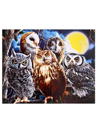 Холст с красками по номерам на подрамнике 