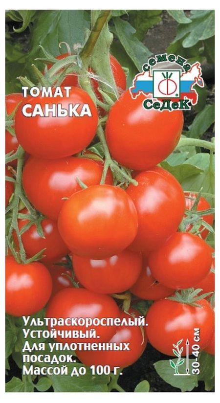 Семена СеДеК Томат Санька, 0,1 г владимир васильевич дорошков уголовное правосудие в условиях метамодерна и умеренного консерватизма монография