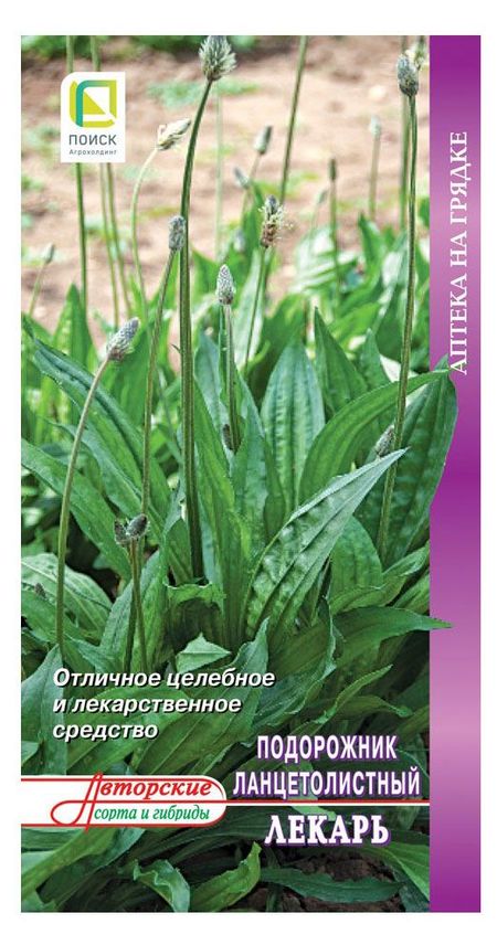 Семена Поиск Подорожник Ланцетовидный Лекарь, 0,1 г ольга в картавенкова смоленские украсы орнаменты народной вышивки
