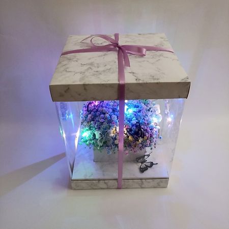 Букет живых цветов ЗЕФИРКО Радужная гипсофила с гирляндой в подарочной коробке 