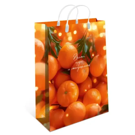 Подарочный пакет Арт и дизайн 40x30 см в ассортименте
