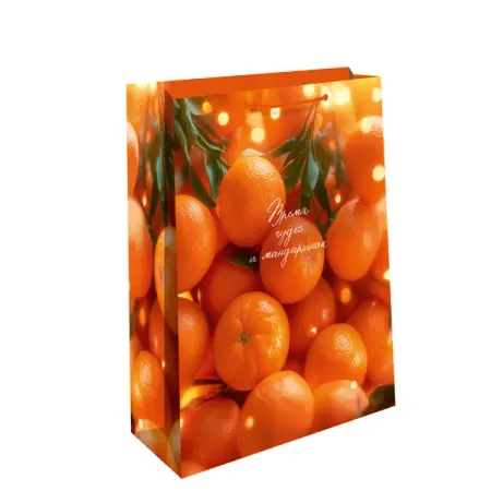 Подарочный пакет Арт и дизайн 42x33 см в ассортименте