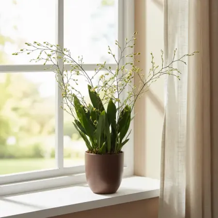 Онцидиум желтый ø9 h60 - 70 см