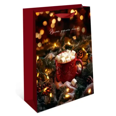 Подарочный пакет Арт и дизайн Плюс 22x18 см в ассортименте