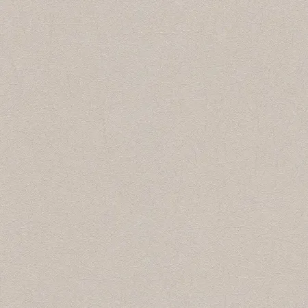 Обои флизелиновые A.S. Creation Fs коричневые 1.06 м 790421 обои флизелиновые a s creation лореаль зелёные 1 06 м 135071