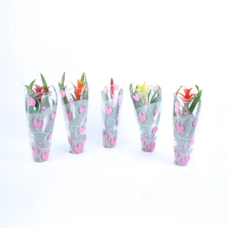 Бромелия микс ø12 h45 см