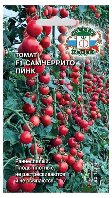 Томат F1 СеДеК Самчеррито пинк, 0,05 г кисти синтетические ные fuyue 6 штук