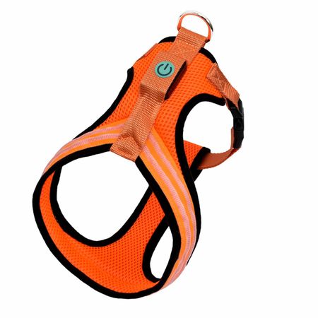 Ошейники, шлейки Tappi амуниция Шлейка 