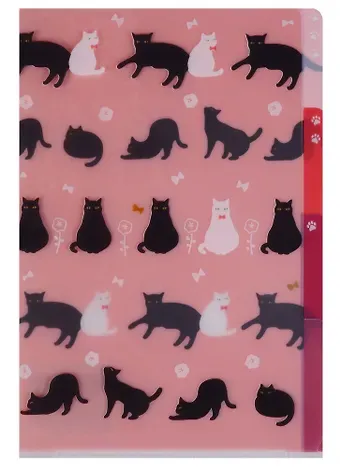 Папка-уголок А6 с разделителями 