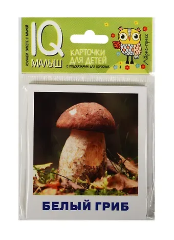 Татьяна Владимировна Тимофеева Умный малыш. Грибное лукошко. Набор карточек для детей.