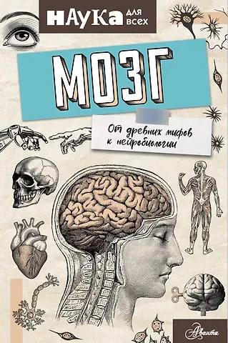 Энн Руни Мозг. От древних мифов к нейробиологии