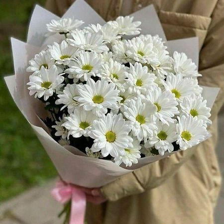 Букет живых цветов FLOWERTVER 5 ромашкообразных хризантем в упаковке