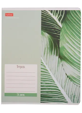 Тетрадь в клетку Hatber, Nature, 24 листа, в ассортименте