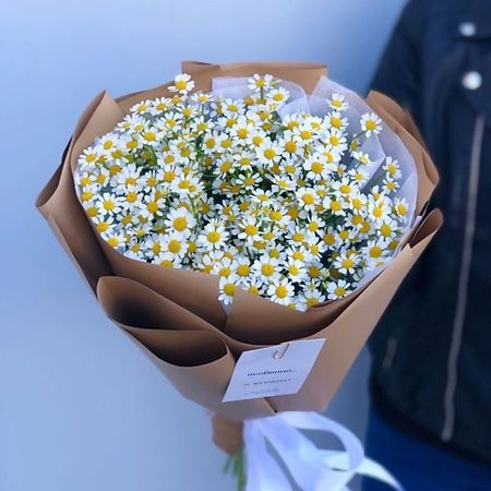 Букет живых цветов FLOWERTVER Ромашки одноразовая бумажная тарелка с изображением ромашки